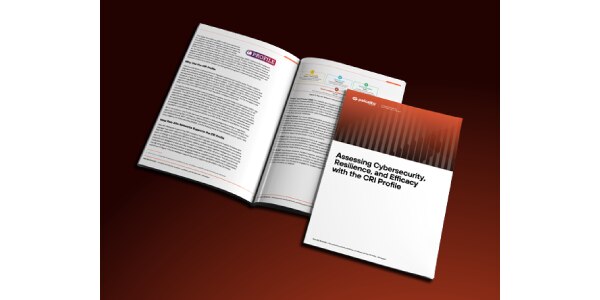 Assessing Cybersecurity Resilience and Efficacy with the CRI Profile