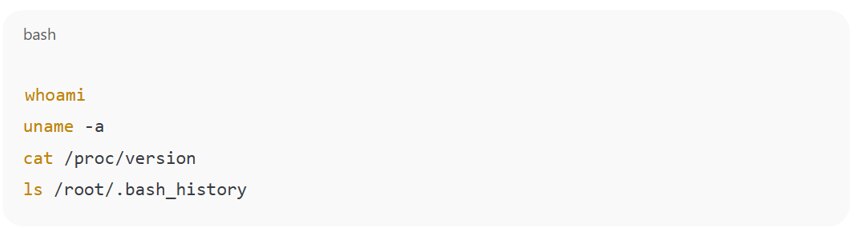 Example of command patterns that suggest sandbox testing or honeypot detection