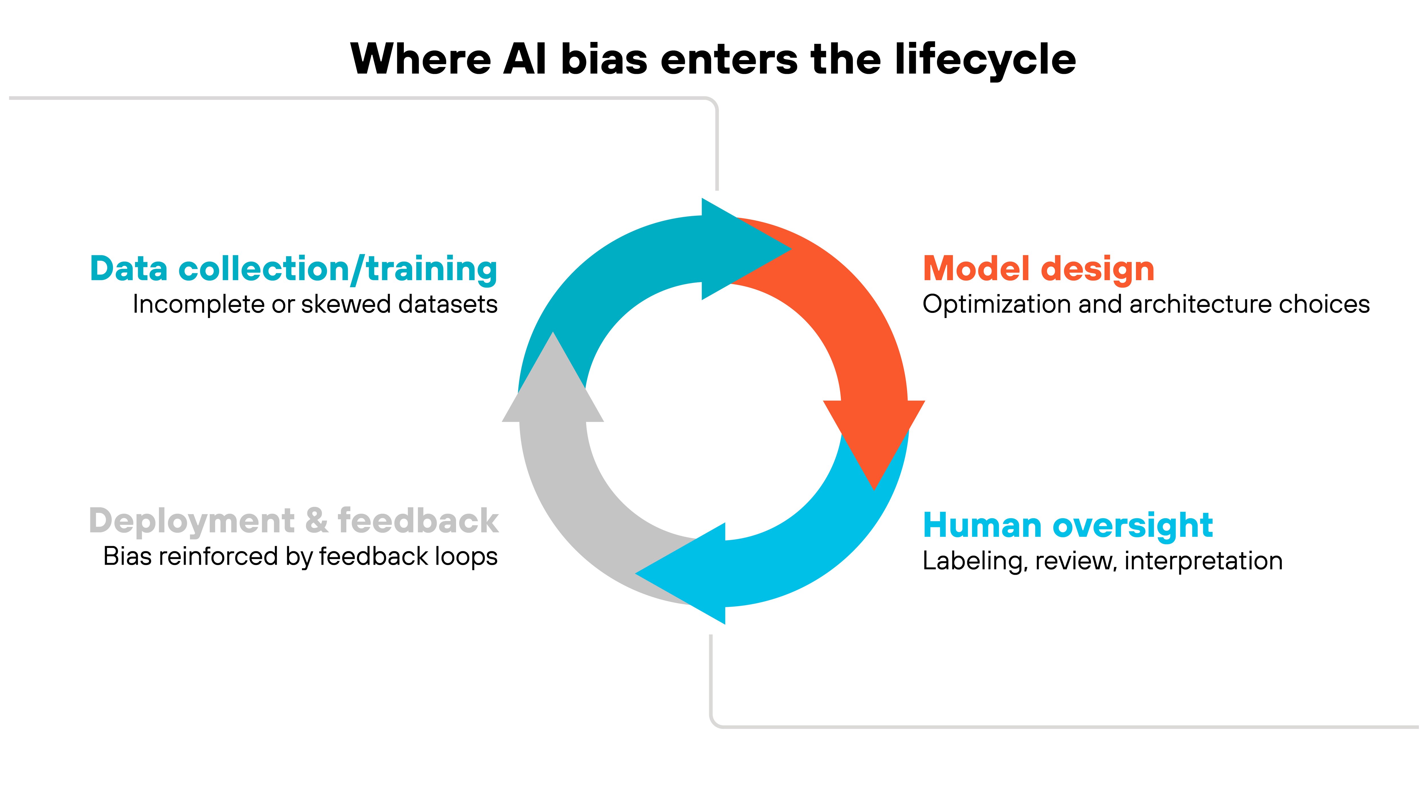Chart titled 'Where AI bias enters the lifecycle' showing a circular flow of four connected arrows in blue, orange, and gray. The sections are labeled 'Data collection/training' with the note 'Incomplete or skewed datasets,' 'Model design' with 'Optimization and architecture choices,' 'Human oversight' with 'Labeling, review, interpretation,' and 'Deployment & feedback' with 'Bias reinforced by feedback loops.' Each label appears around the circular arrow, representing continuous stages in the AI development process. Chart titled 'Where AI bias enters the lifecycle' showing a circular flow of four connected arrows in blue, orange, and gray. The sections are labeled 'Data collection/training' with the note 'Incomplete or skewed datasets,' 'Model design' with 'Optimization and architecture choices,' 'Human oversight' with 'Labeling, review, interpretation,' and 'Deployment & feedback' with 'Bias reinforced by feedback loops.' Each label appears around the circular arrow, representing continuous stages in the AI development process.