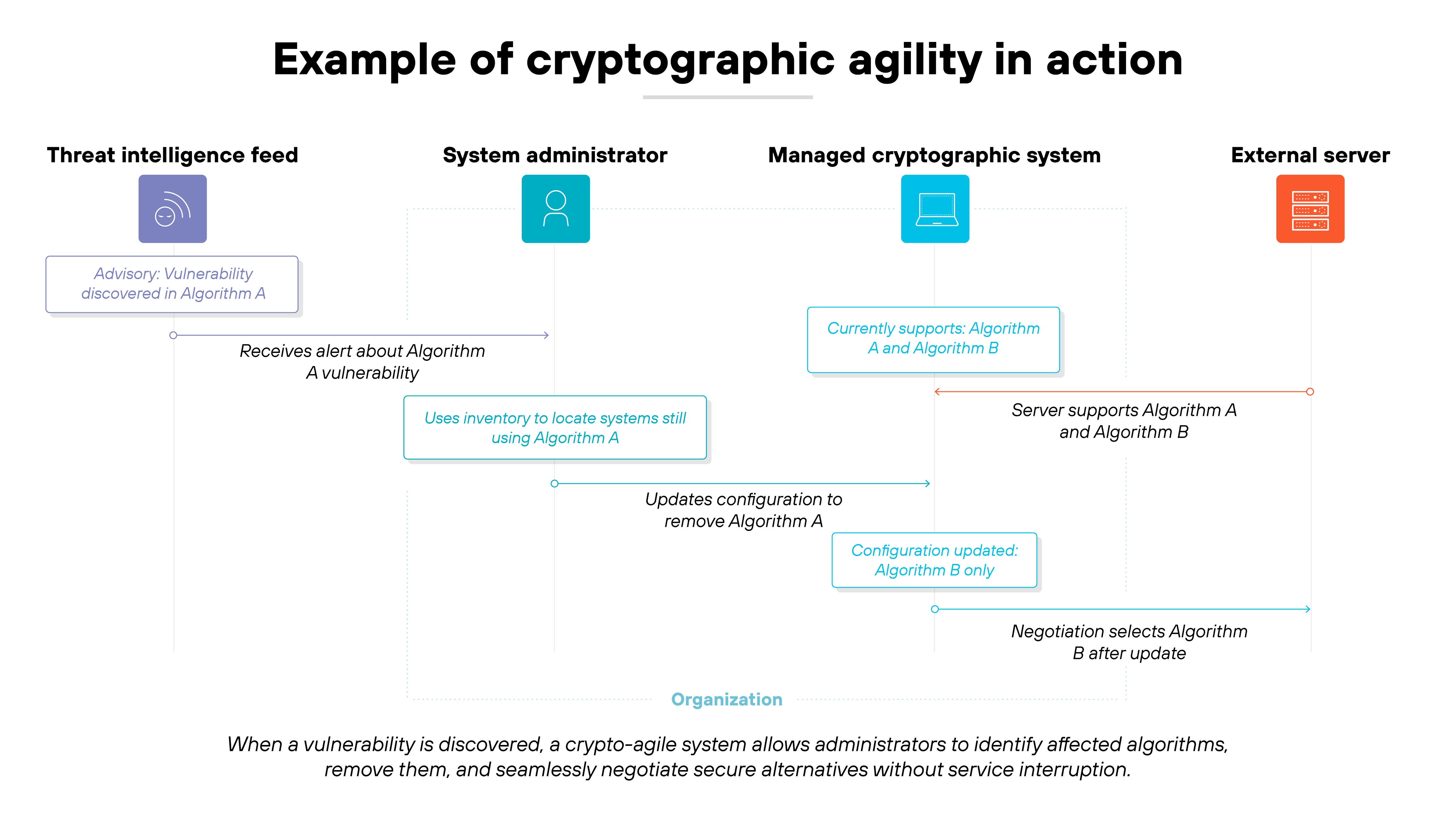 Flow diagram titled 'Example of cryptographic agility in action' showing four vertical sections labeled 'Threat Intelligence Feed,' 'System administrator,' 'Managed cryptographic system,' and 'External server.' A purple box in the first section reads 'Advisory: Vulnerability discovered in Algorithm A,' with an arrow indicating that the administrator receives an alert about Algorithm A's vulnerability. A blue callout beneath reads 'Uses inventory to locate systems still using Algorithm A,' leading to a horizontal arrow labeled 'Updates configuration to remove Algorithm A.' In the third section, a blue box labeled 'Currently supports Algorithm A and Algorithm B' changes to 'Configuration updated: Algorithm B only.' The external server section shows that the server supports 'Algorithm A and Algorithm B,' with a final arrow noting 'Negotiation selects Algorithm B after update.' A note below reads 'When a vulnerability is discovered, a crypto-agile system allows administrators to identify affected algorithms, remove them, and seamlessly negotiate secure alternatives without service interruption.' Flow diagram titled 'Example of cryptographic agility in action' showing four vertical sections labeled 'Threat Intelligence Feed,' 'System administrator,' 'Managed cryptographic system,' and 'External server.' A purple box in the first section reads 'Advisory: Vulnerability discovered in Algorithm A,' with an arrow indicating that the administrator receives an alert about Algorithm A's vulnerability. A blue callout beneath reads 'Uses inventory to locate systems still using Algorithm A,' leading to a horizontal arrow labeled 'Updates configuration to remove Algorithm A.' In the third section, a blue box labeled 'Currently supports Algorithm A and Algorithm B' changes to 'Configuration updated: Algorithm B only.' The external server section shows that the server supports 'Algorithm A and Algorithm B,' with a final arrow noting 'Negotiation selects Algorithm B after update.' A note below reads 'When a vulnerability is discovered, a crypto-agile system allows administrators to identify affected algorithms, remove them, and seamlessly negotiate secure alternatives without service interruption.'
