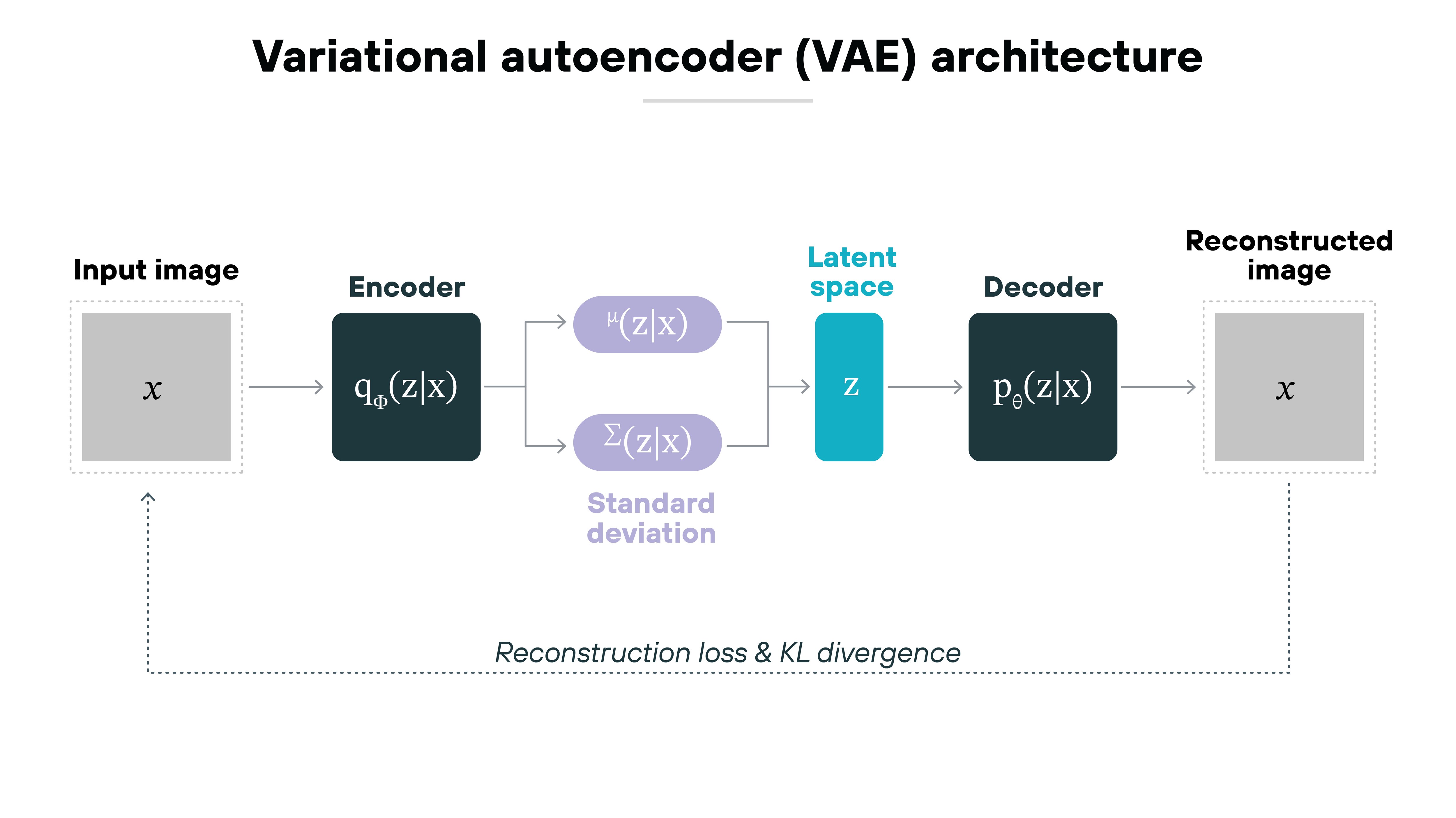 A linear pipeline illustrates the VAE workflow. An input image x is passed into an encoder, which outputs a mean and standard deviation defining a latent distribution. A latent variable z is sampled and fed into a decoder to reconstruct the image. A dotted feedback loop at the bottom emphasizes the combined reconstruction loss and KL divergence used during training to balance fidelity and latent regularization.