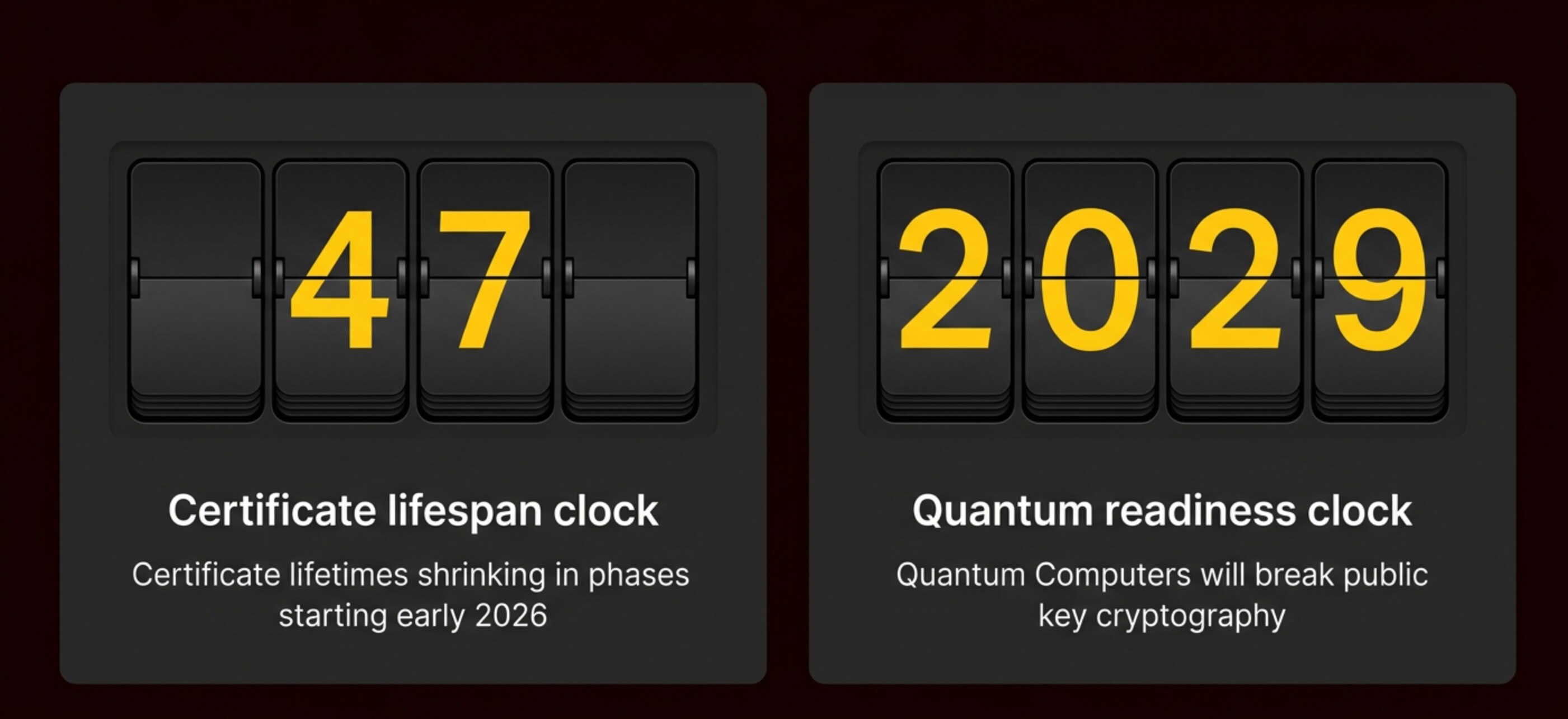 Timeline