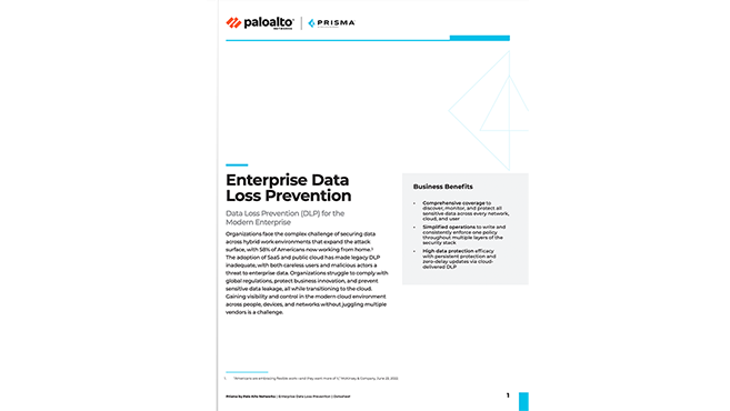 Enterprise Data Loss Prevention